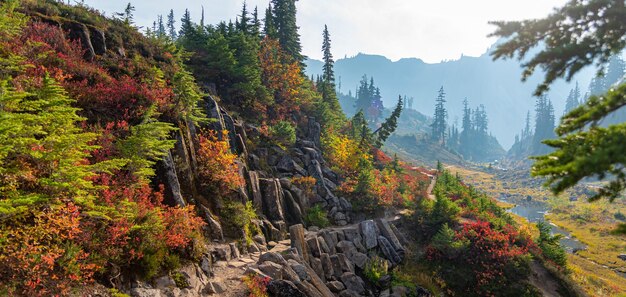 Zdjęcie szlak turystyczny bagley lake w mount baker jesienią