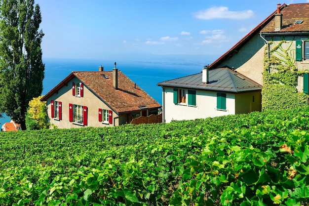 Szlak Turystyczny Chalets On Vineyard Terrace Lavaux, Jezioro Genewskie I Szwajcarskie Góry, Dzielnica Lavaux-oron, Szwajcaria