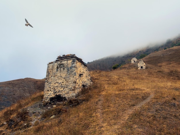 Szlak turystyczny pod górę przez starożytne rodzinne krypty mglisty, mistyczny krajobraz Kompleks wież Old Erzi w wąwozie Jeyrah położonym na skraju pasma górskiego w Inguszetii Rosja