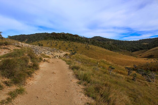 Szlak turystyczny trawiaste równiny i wzgórza w Parku Narodowym Horton Plains Central highlands of Sri Lanka Obraz poziomy z przestrzenią do kopiowania