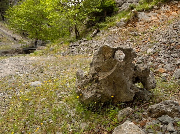 Zdjęcie szlak turystyczny w wąwozie górskim agali na wyspie evia w grecji