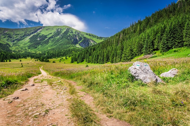 Szlak w Tatrach latem Polska Europa
