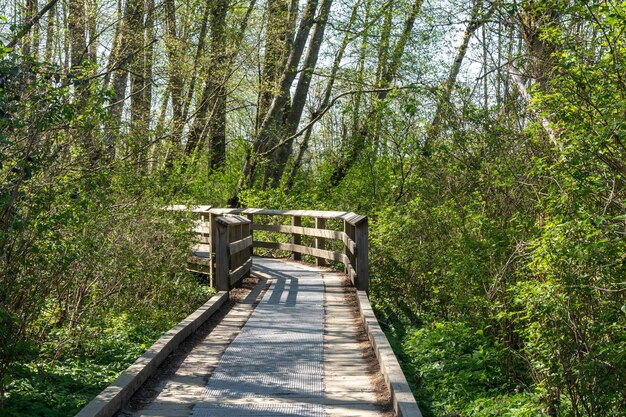 Szlaki piesze Deer Lake Park Burnaby Kolumbia Brytyjska Kanada