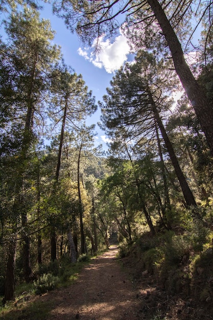 Szlaki ze wspaniałymi widokami na Sierra De Cazorla Hiszpania Koncepcja turystyki przyrodniczej