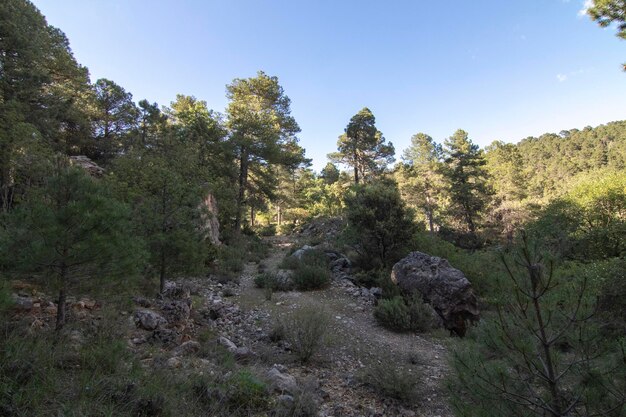 Szlaki ze wspaniałymi widokami na Sierra De Cazorla Hiszpania Koncepcja turystyki przyrodniczej