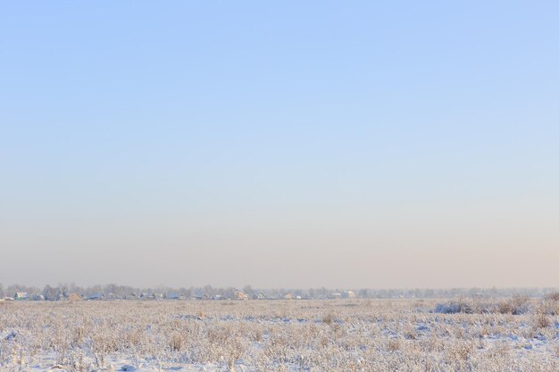 Szron Na Trawie Na Zaśnieżonym Polu