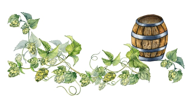Sztandar drewnianej beczki piwa i chmielowej winorośli akwarela ilustracja odizolowana na białym tle