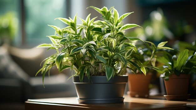 Zdjęcie sztuczna roślina po jednej stronie pokoju widok z bliska