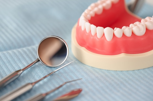 Sztuczna szczęka dentystyczna i instrument dentystyczny na koncepcji leczenia stomatologicznego na stole