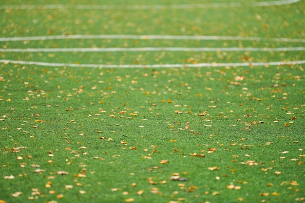 Sztuczna Trawa, Zadaszenie Boiska Z Oznaczeniem. Sztuczna Murawa Stosowana W Różnych Dyscyplinach Sportowych: Piłce Nożnej, Piłce Nożnej, Rugby, Tenisie, Baseballu, Futbolu Amerykańskim, Golfie, Hokeju Na Trawie I Innych.