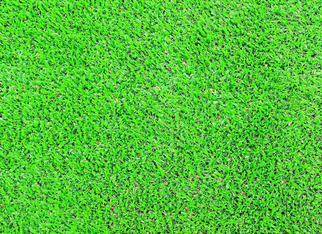 Sztuczna zielona trawa Tło