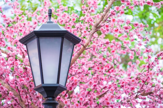 Sztuczne kwiaty Sakura z lampą do dekoracji w stylu japońskim Kwiat wiosny Obraz ma małą głębię ostrości