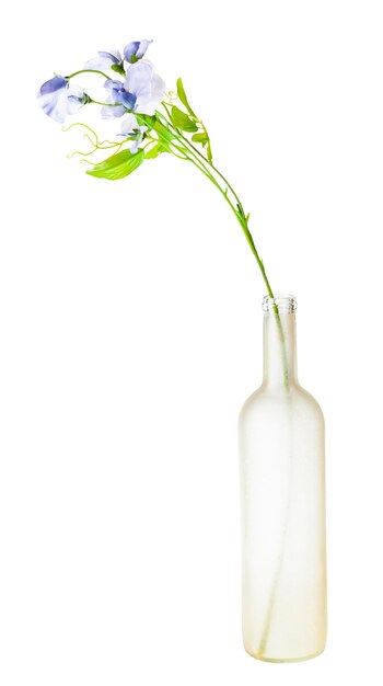 Sztuczne kwiaty w przyciemnianej szklanej butelce na białym tle