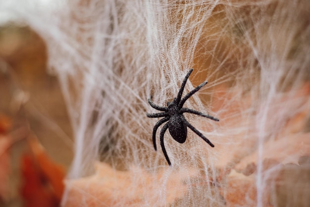 Sztuczny pająk w sieci w lesie pełnym jesiennych kolorów