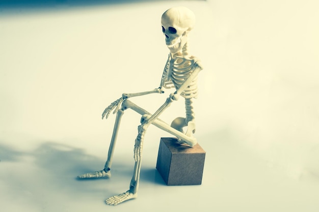 Zdjęcie sztuczny szkielet ludzkiego ciała w pozycji siedzącej