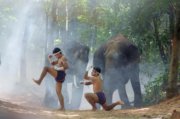 Sztuki walki muay thaithai boks muay thai