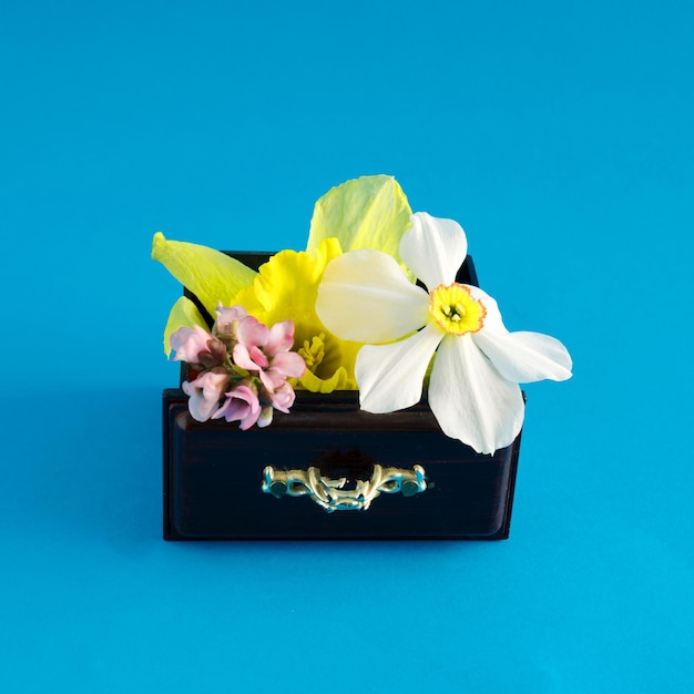 Zdjęcie szuflada pełna wiosennych kwiatów w różnych kolorach na niebieskim tle