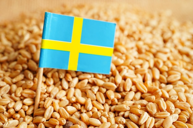 Szwecja o koncepcji gospodarki i eksportu pszenicy na ziarno