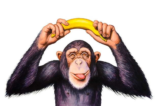 Szympans trzymający banana nad głową