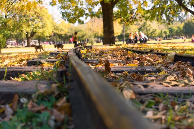 Szyny toru kolejowego z jesiennymi liśćmi i parkiem w tle