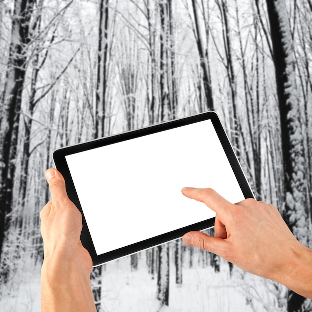 Tablet ipady komputer w ręku na zimowym tle lasu