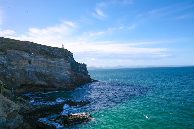 Taiaroa Head to cypel na końcu półwyspu Otago w Nowej Zelandii z widokiem na ujście