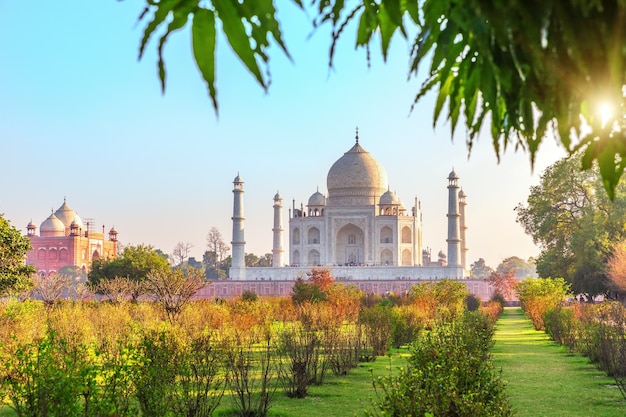 Taj Mahal I Ogród W Słoneczny Dzień, Agra, Indie.