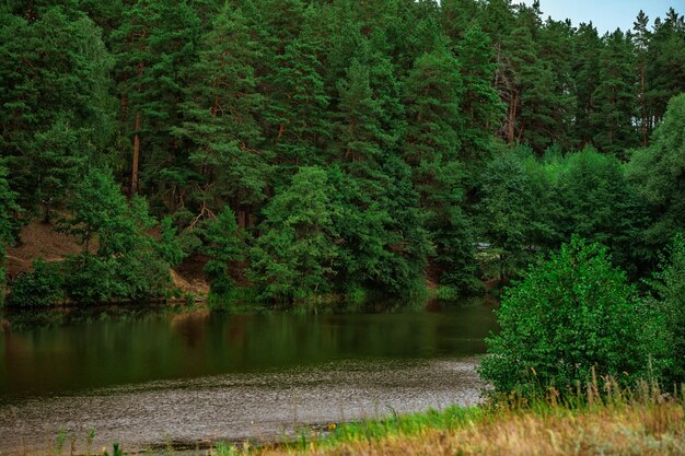 Tajemnicze Jezioro Krajobrazowe Otoczone Lasem