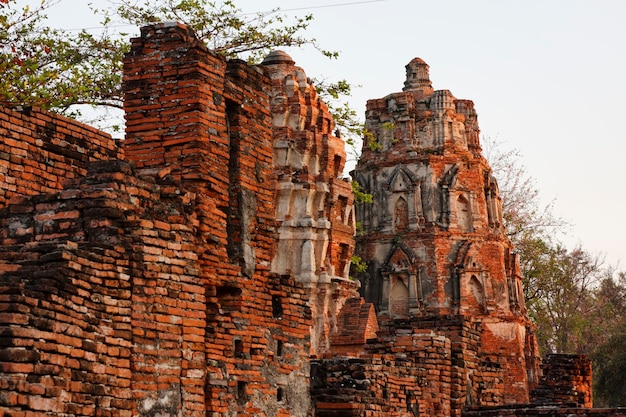 TAJLANDIA, Ayutthaya, ruiny starożytnych świątyń miasta o zachodzie słońca