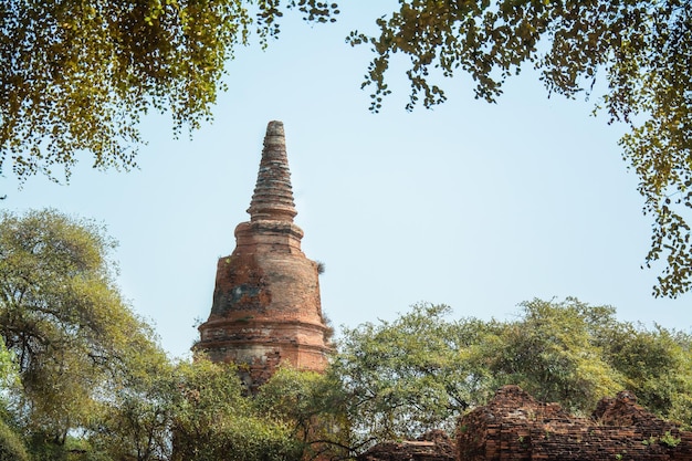 TAJLANDIA Ruiny i antyki w Parku Historycznym Ayutthaya Turyści z całego świata Rozpad Buddy