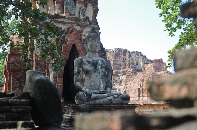 Tajskie spokojne starożytne posągi Buddy w mieście Ayudhaya