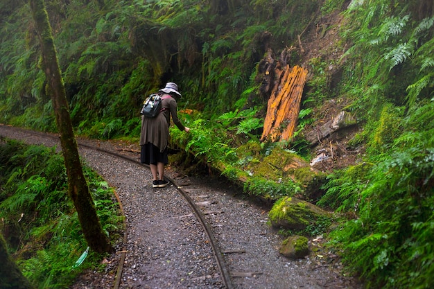 Tajwan, Yilan County, Taiping Mountain, Jianqing Ancient Road, szlaki, turyści