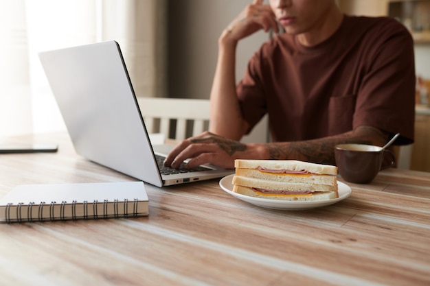 Talerz z kanapkami z szynką i serem na biurku ucznia pracującego na laptopie w domu