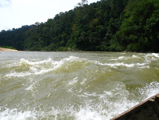 Taman Negara to park narodowy Malezji