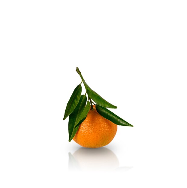 Tangerine lub clementine z zielonym liściem na białym tle z odbiciem na białej powierzchni.