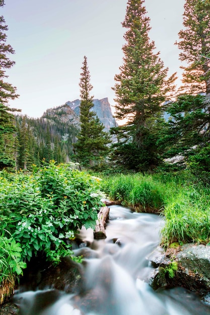 Zdjęcie tapeta z naturą, piękna tapeta z naturą, tapety 4k z naturą, tapeta hd z naturą, zielona natura