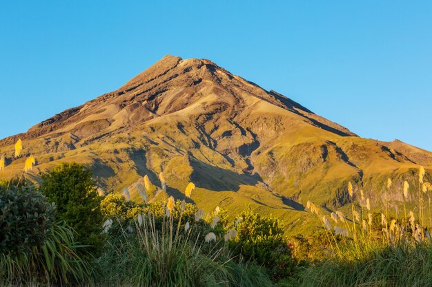 Taranaki