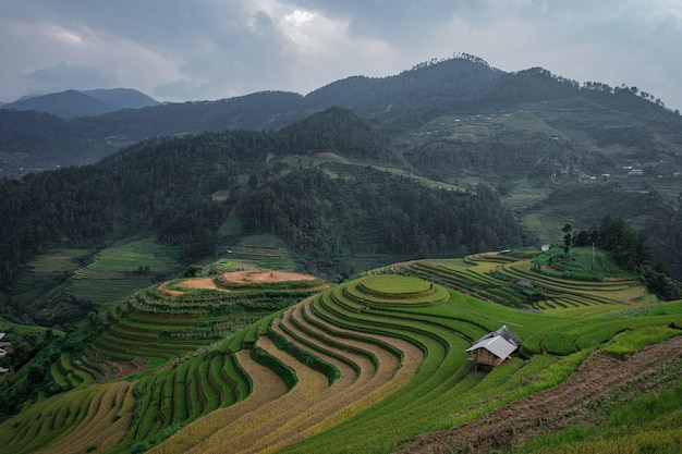 Zdjęcie tarasowe pola ryżowe z widokiem