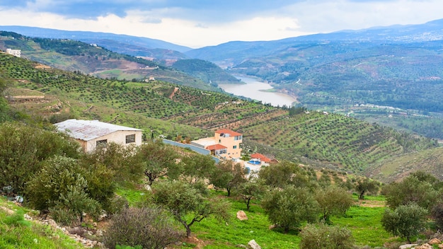 Tarasowe Pola W Dolinie Rzeki Zarga W Jordanii