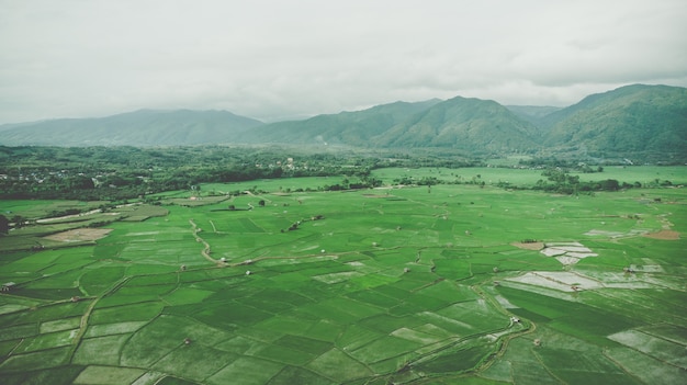 Tarasowy ryżu pola widok z lotu ptaka w Nan, Tajlandia