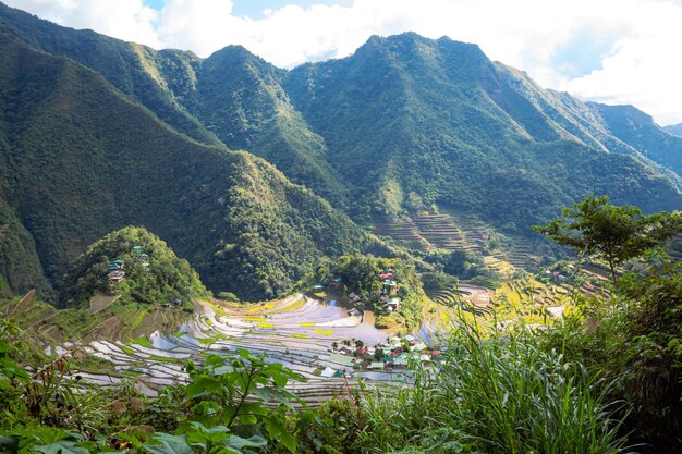 Tarasy ryżowe na Filipinach Paddy ryżowe dolina Batad na Filipinach Widok panoramiczny z miejscem do kopiowania tekstu obraz poziomy