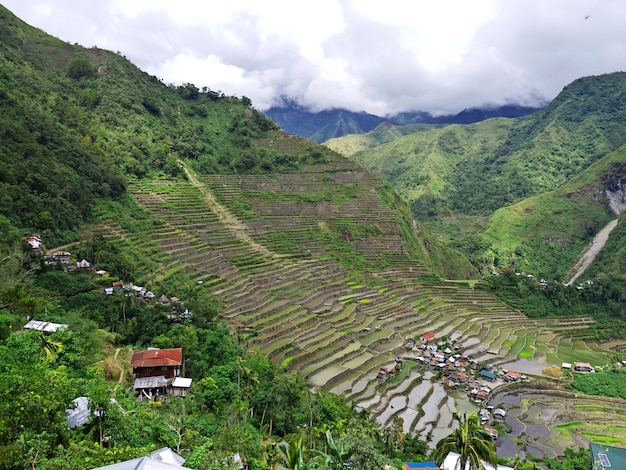 Tarasy ryżowe w Banaue Filipiny