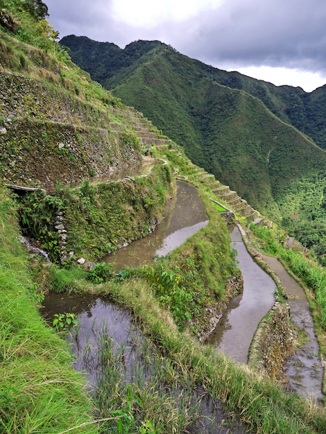 Tarasy ryżowe w Banaue na Filipinach