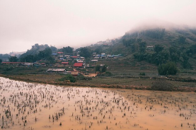 Zdjęcie tarasy ryżowe w części górskiej parku narodowego hoang lien w sapa w mglisty i deszczowy dzień w zimie