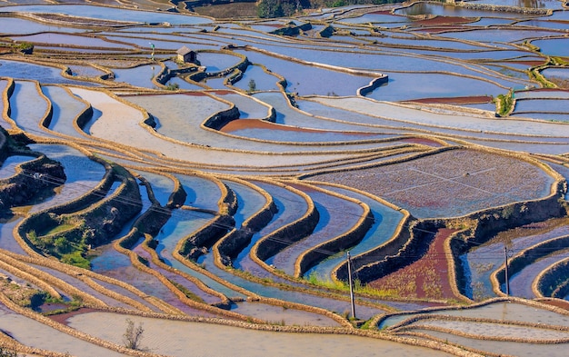 Tarasy ryżowe w Yuanyang w Chinach