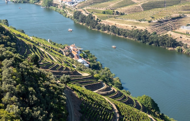 Tarasy winorośli do produkcji wina porto ciągną się na zboczach doliny Douro w Portugalii