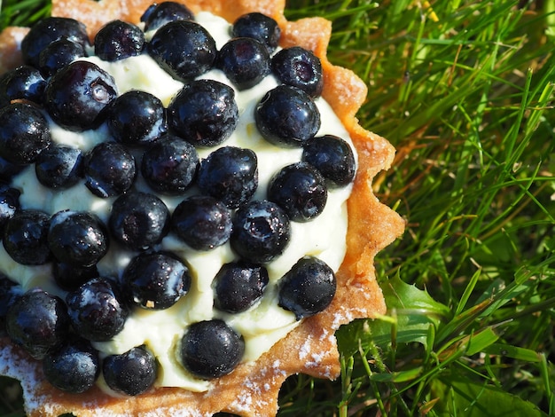 Tarta jagodowa siedzi na zielonej trawie.