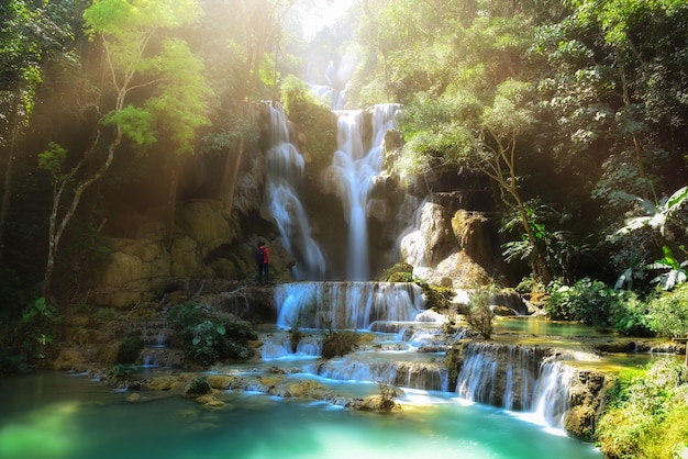 Tat Kuang Si wodospady w Luangprabang Laos.