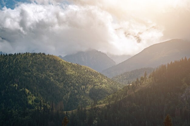 Tatry Latem