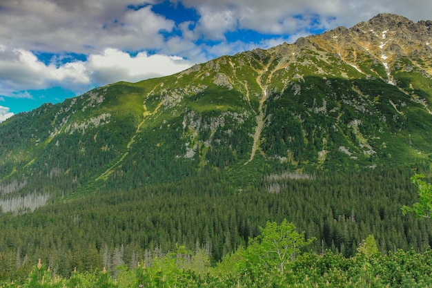 Zdjęcie tatry tatrzański park narodowy karpaty góry piękny widok krajobraz